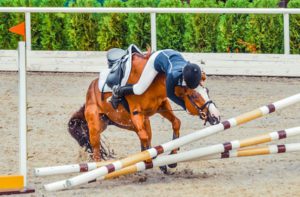 Horse riding accident due to the horse running into the barriers rather than jumping over