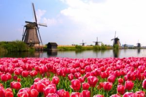 The Netherlands holiday accident