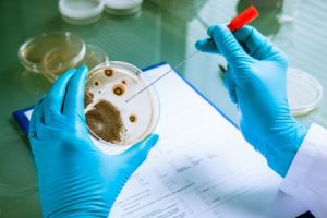 Listeria outbreak claims