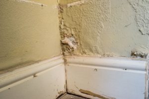 Rising damp compensation claims guide