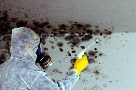 Claim mould compensation claims guide