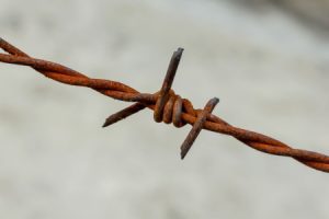 Rusty barbed wire