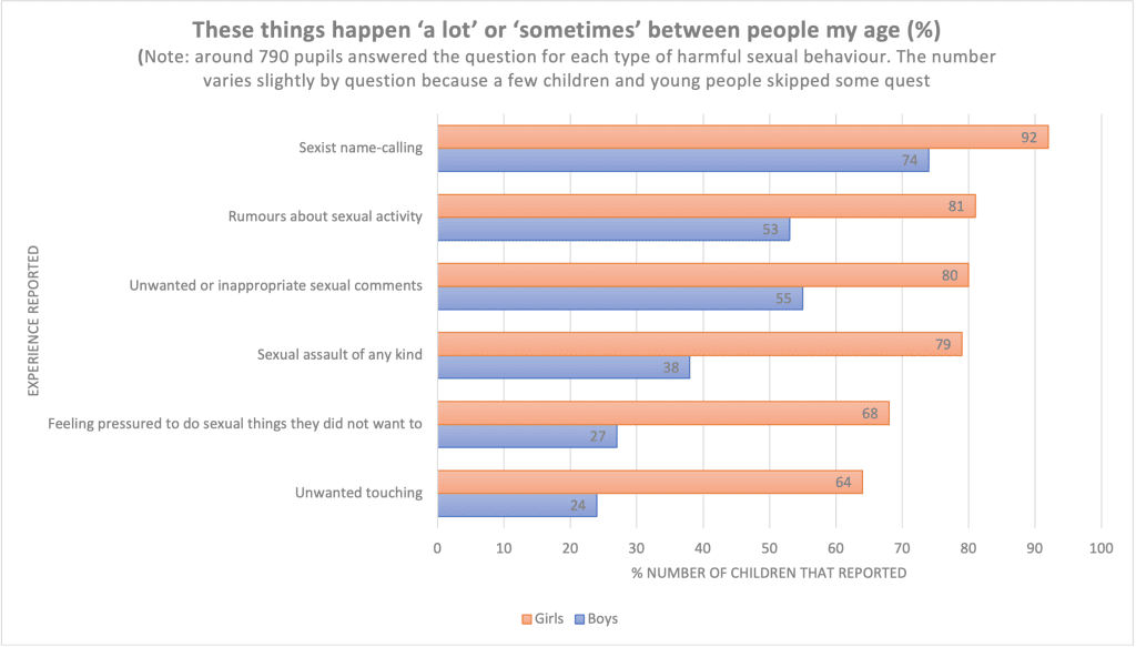 Graph showing a breakdown of inappropriate sexual behaviour in schools by things that happen a lot vs sometimes