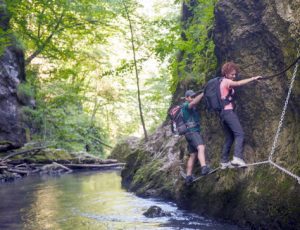 Day trip injury compensation claims
