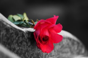 SINGLE ROSE ON TOMBSTONE
