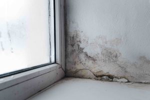 Image of severe damp and mould in a window frame