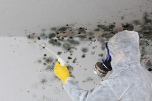 A person treating mould spores in a hazard suit and respirator mask